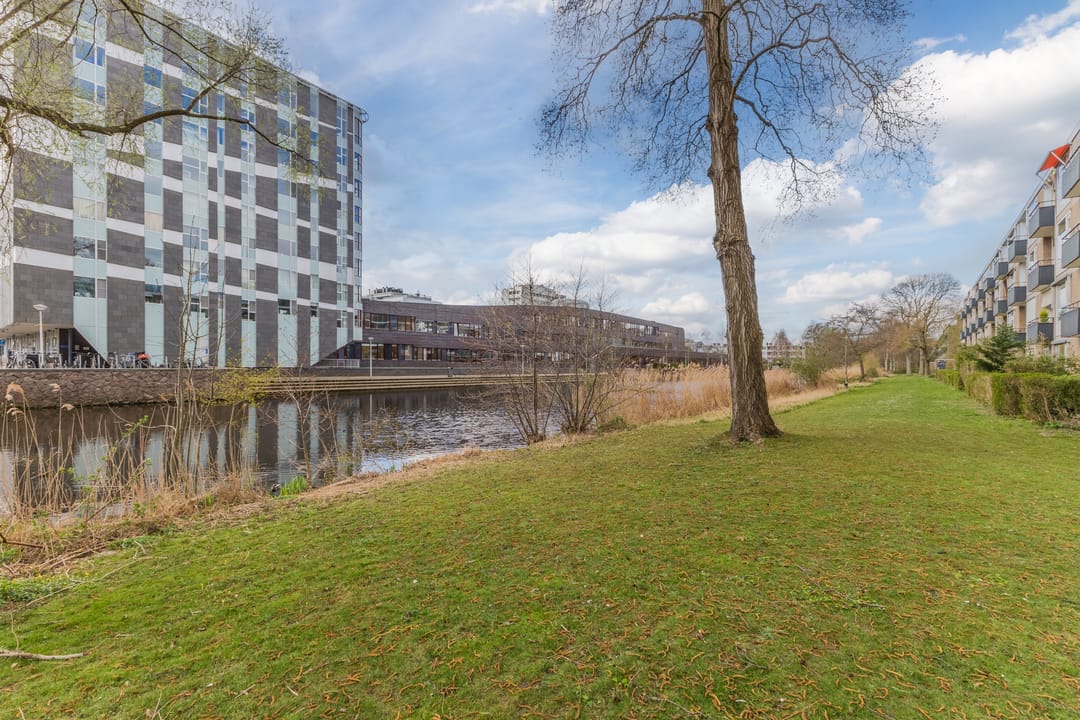 Photo 8 of Frieslandstraat 3