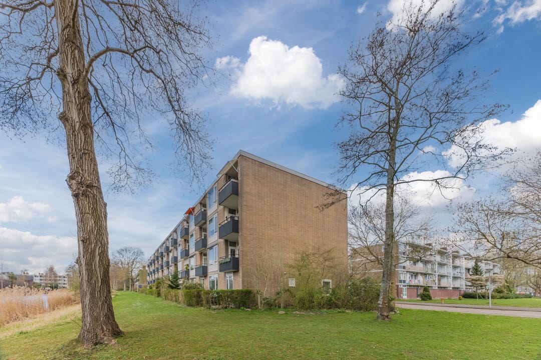 Photo 31 of Frieslandstraat 3