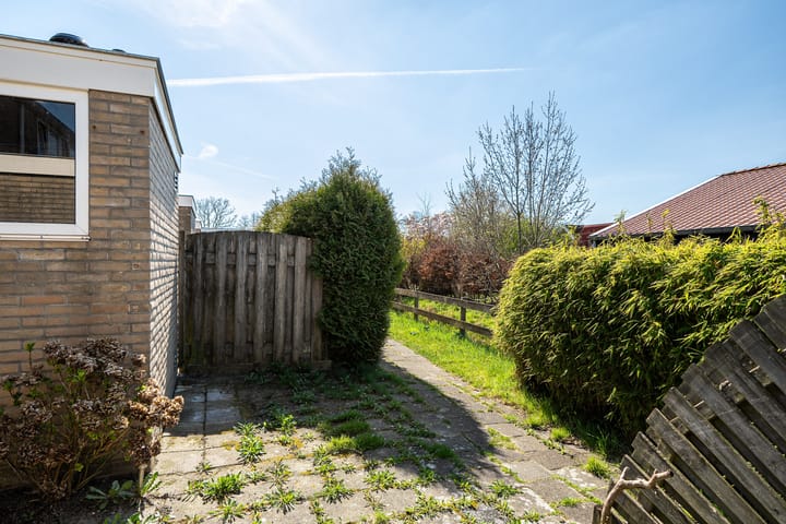 Foto 18 van Tywert 18