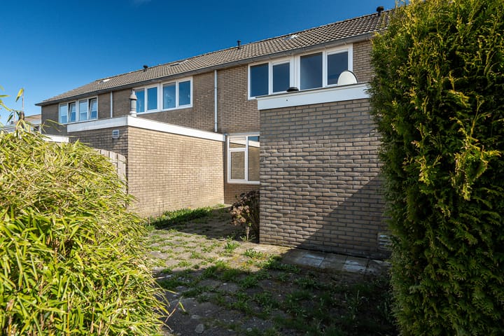 Foto 20 van Tywert 18