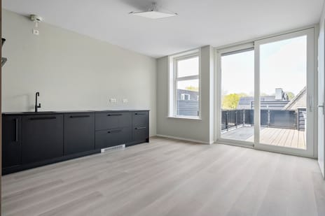 Dijkhuizen 7-h tertiary image