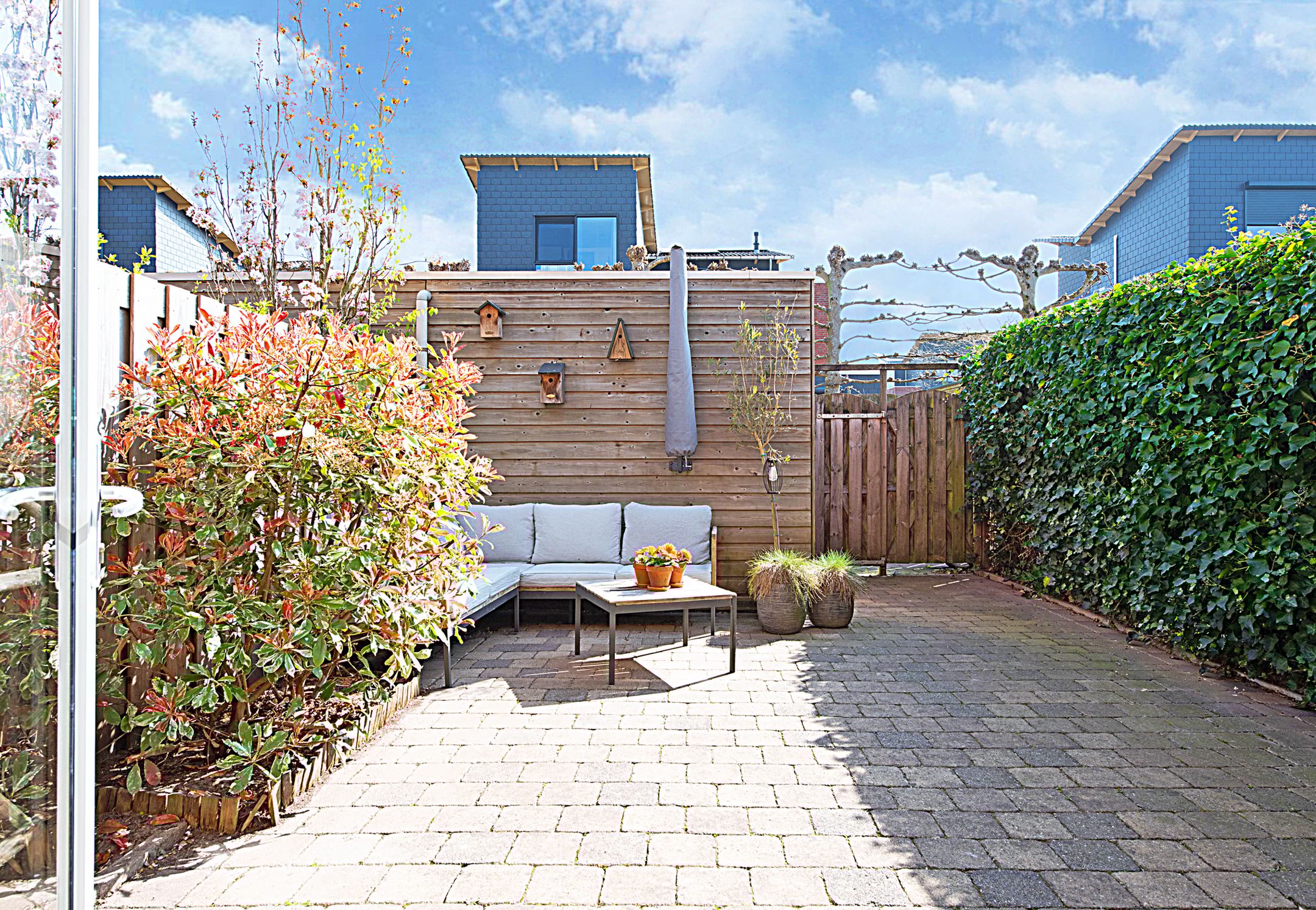 Foto 6 van Eilandspolder 21