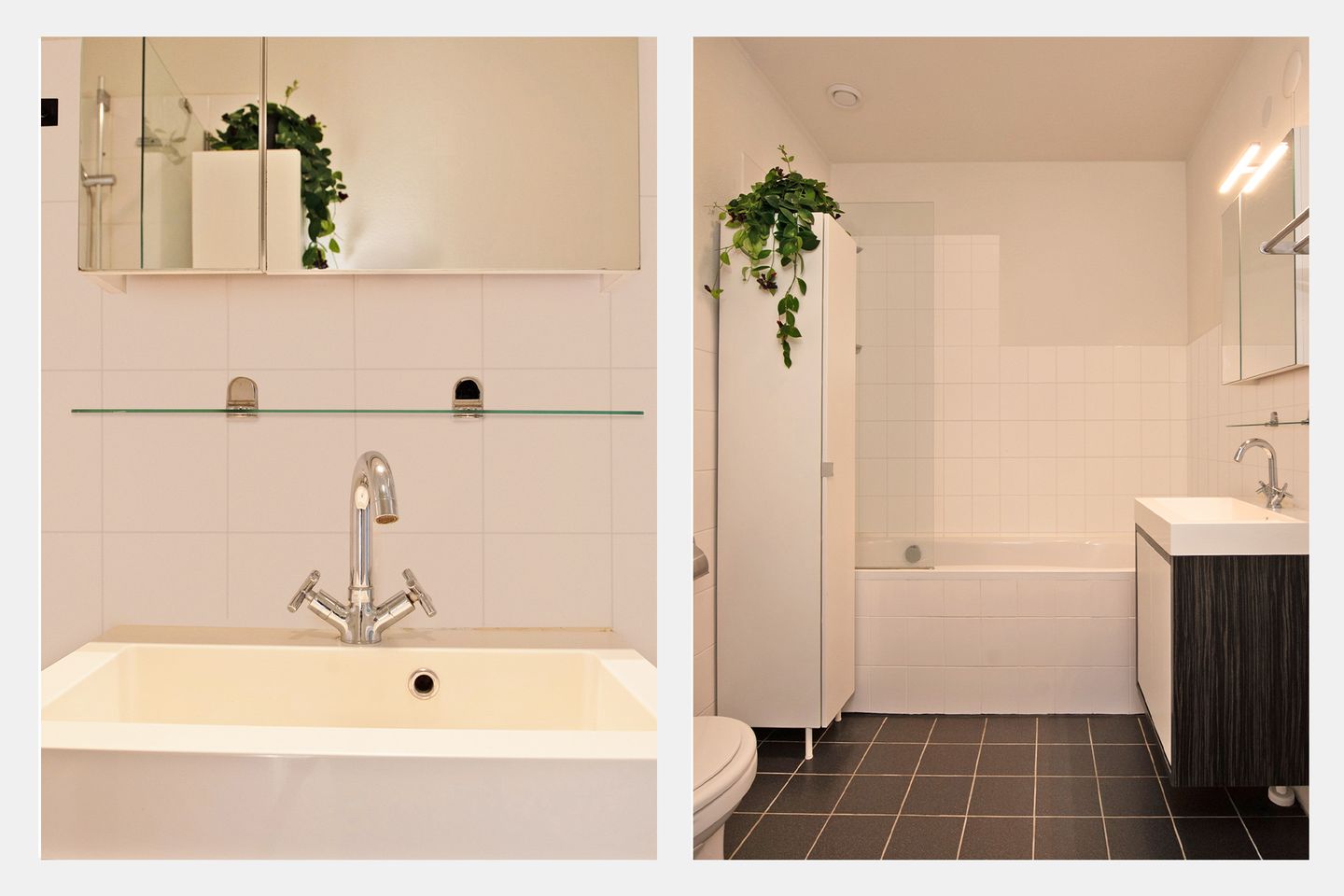 Foto 19 van Eilandspolder 21