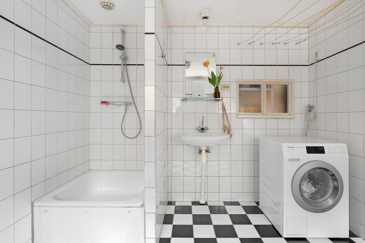 Foto 19 van Zwarte Dijk 4