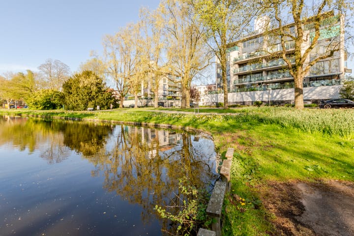 Photo 6 of Robiniastate 7