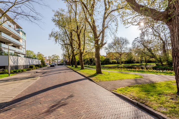 Photo 40 of Robiniastate 7