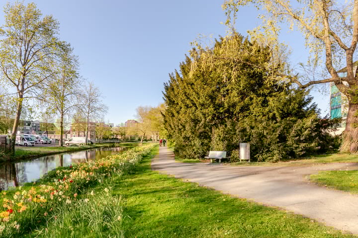 Photo 45 of Robiniastate 7