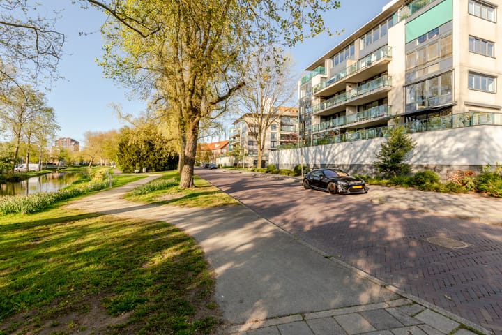 Photo 48 of Robiniastate 7