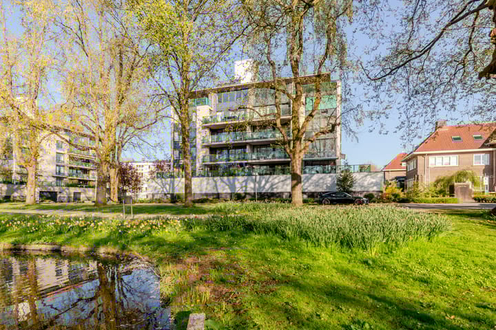 Photo 49 of Robiniastate 7