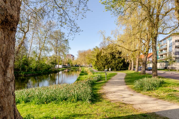 Photo 51 of Robiniastate 7