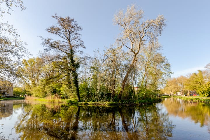 Photo 52 of Robiniastate 7