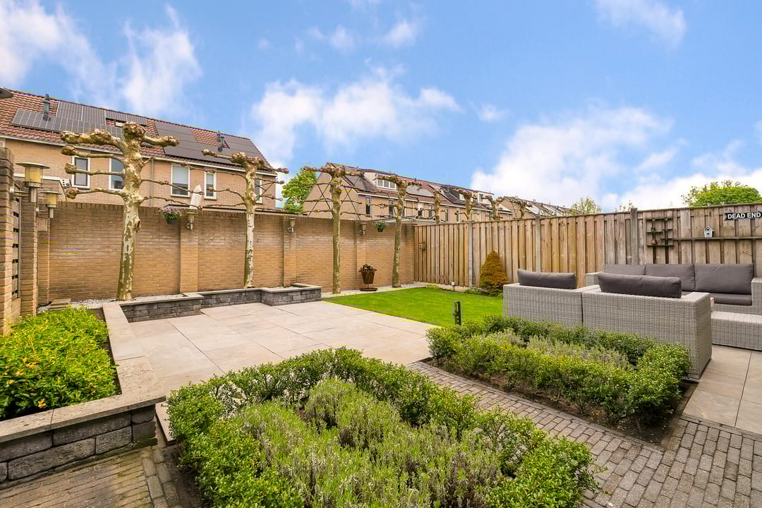 Foto 31 van Pijlkruid 61