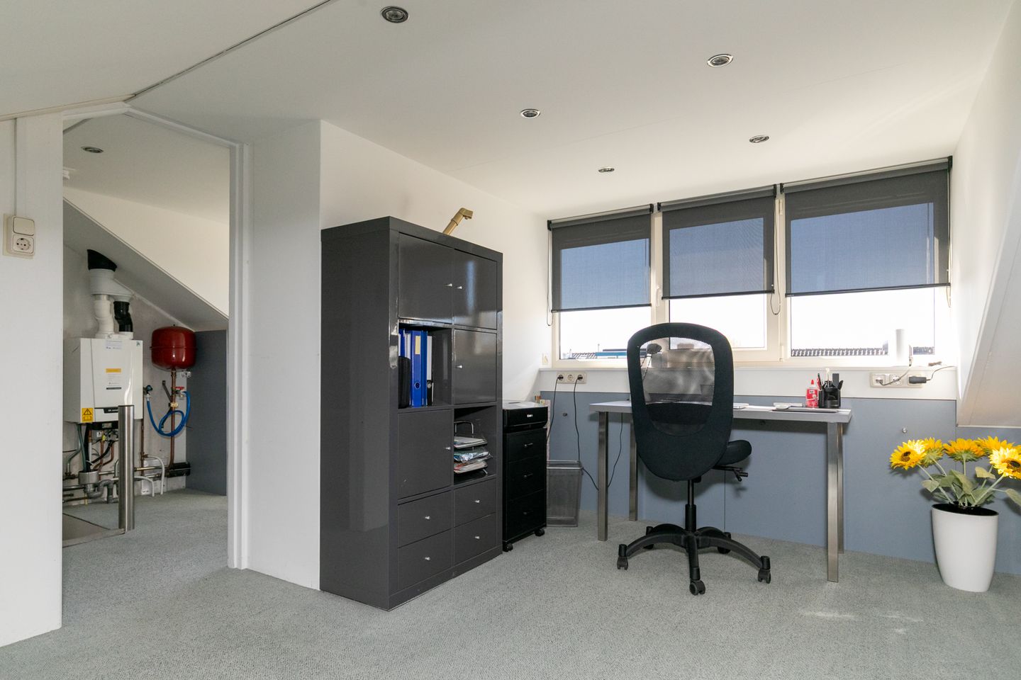 Photo 34 of Noordenbos 8