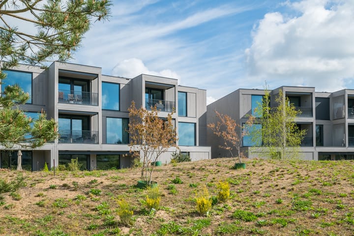 Foto 7 van Zandheuvel 11