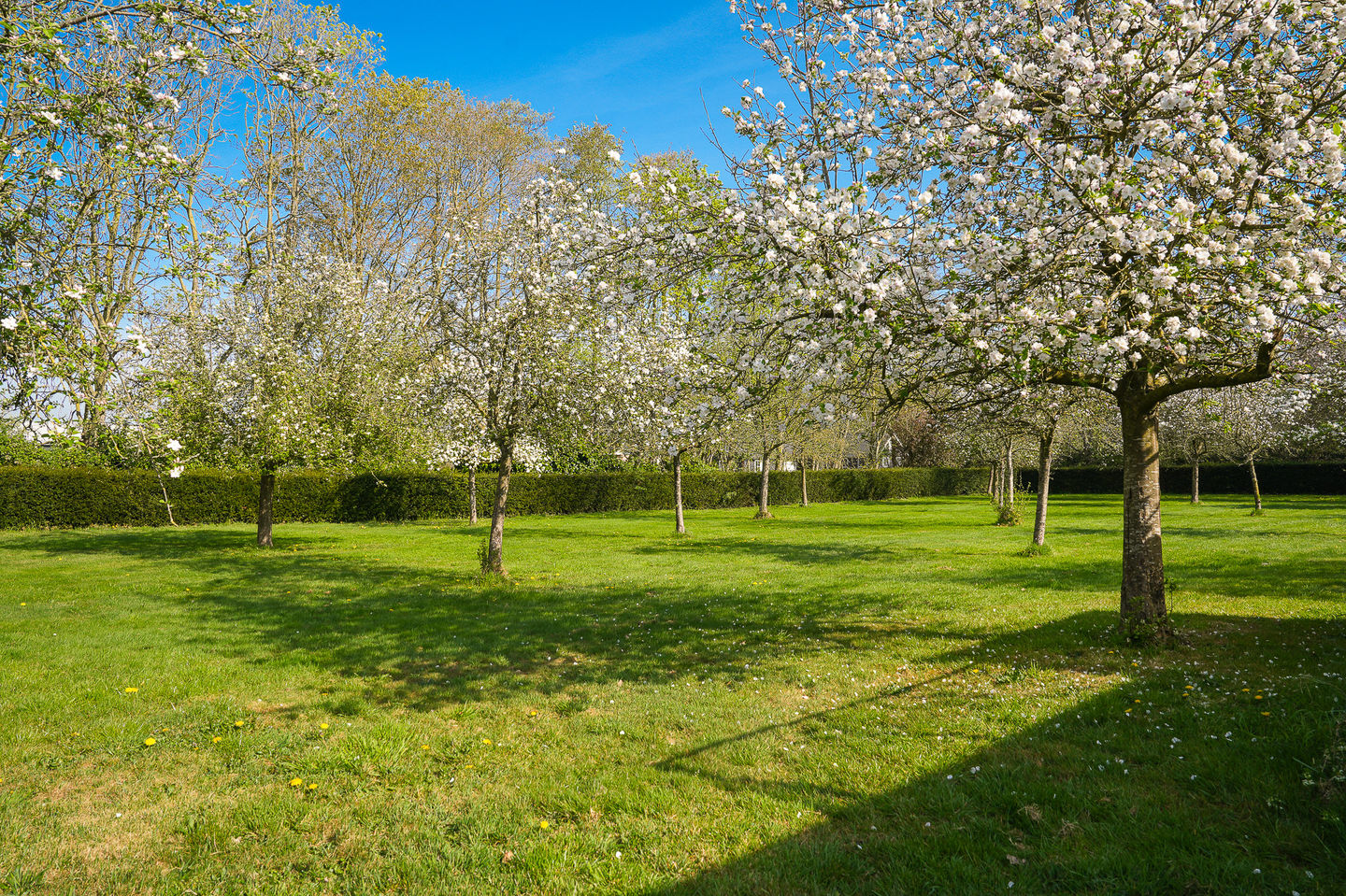 Foto 35 van Zandweg 23-A