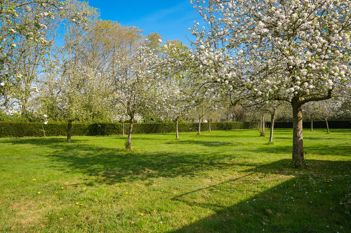 Foto 35 van Zandweg 23-A