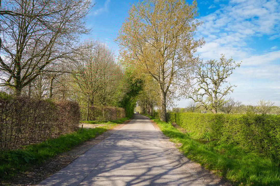 Foto 38 van Zandweg 23-A