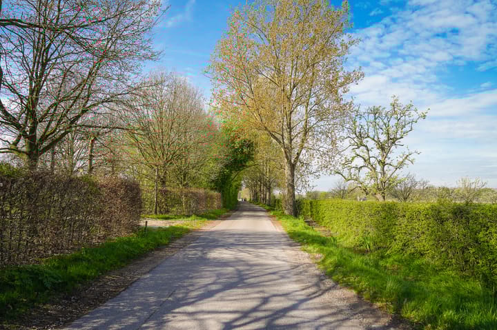 Foto 38 van Zandweg 23-A