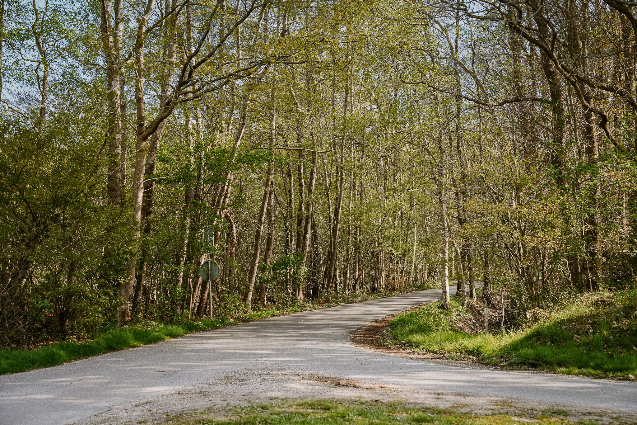 Foto 39 van Zandweg 23-A