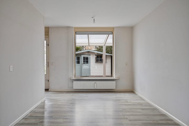 Foto 5 van Oeverzwaluw 59