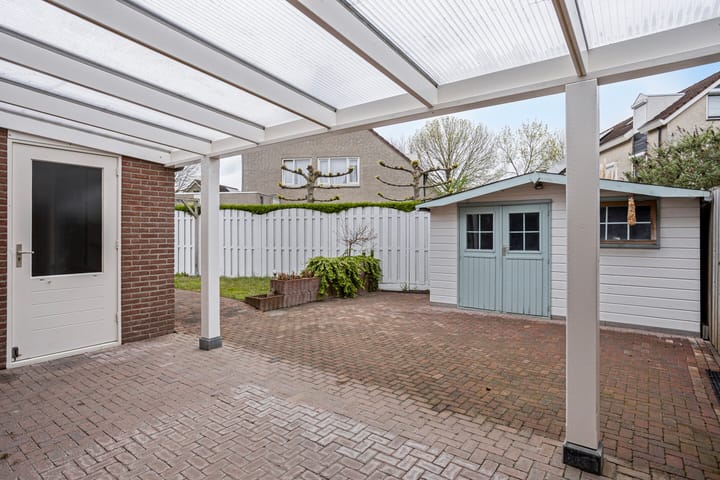 Foto 7 van Oeverzwaluw 59