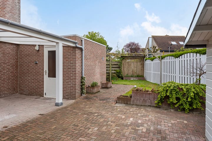 Foto 8 van Oeverzwaluw 59