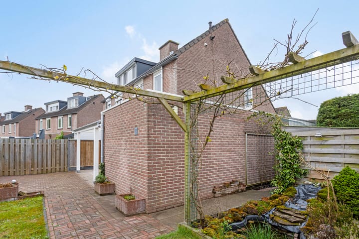 Foto 9 van Oeverzwaluw 59