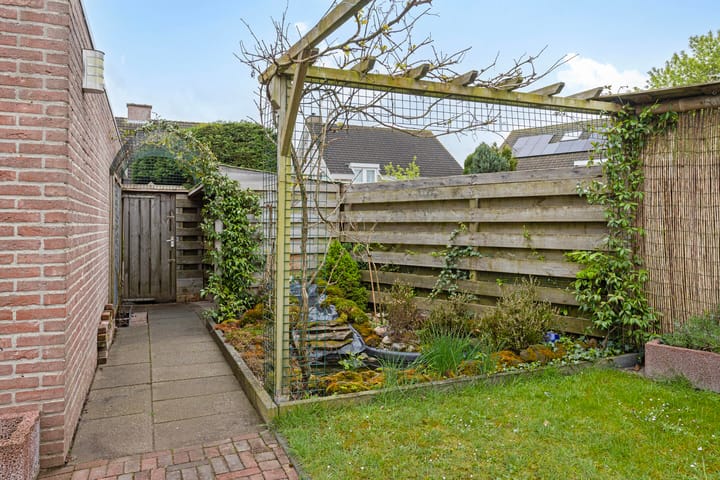 Foto 10 van Oeverzwaluw 59