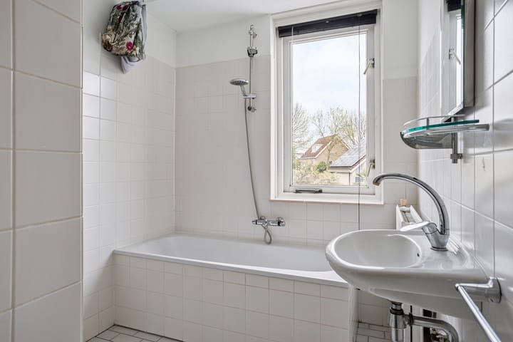 Foto 19 van Oeverzwaluw 59