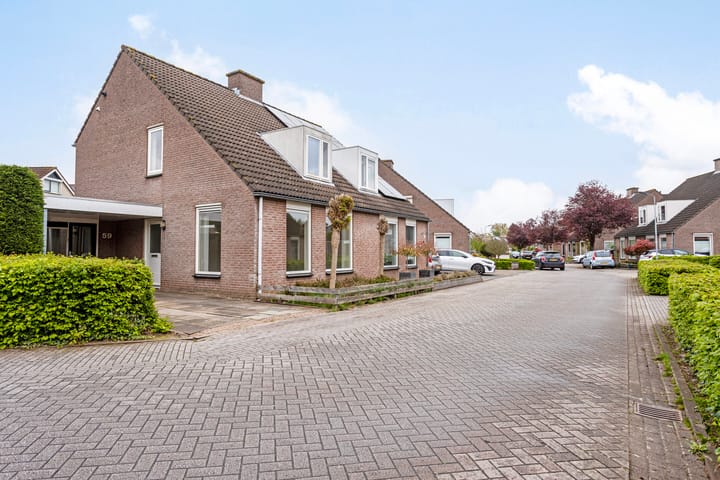 Foto 23 van Oeverzwaluw 59