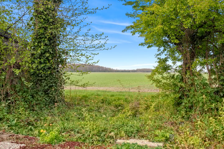 Foto 23 van Texelstroom 31