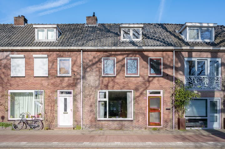 Graaf Ottosingel 161