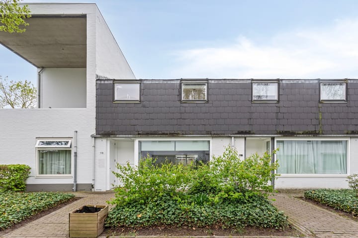 Foto 29 van Zandvis 118