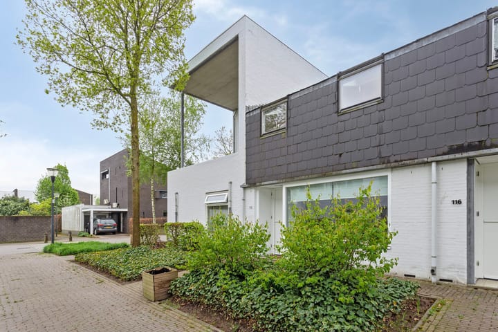 Foto 30 van Zandvis 118