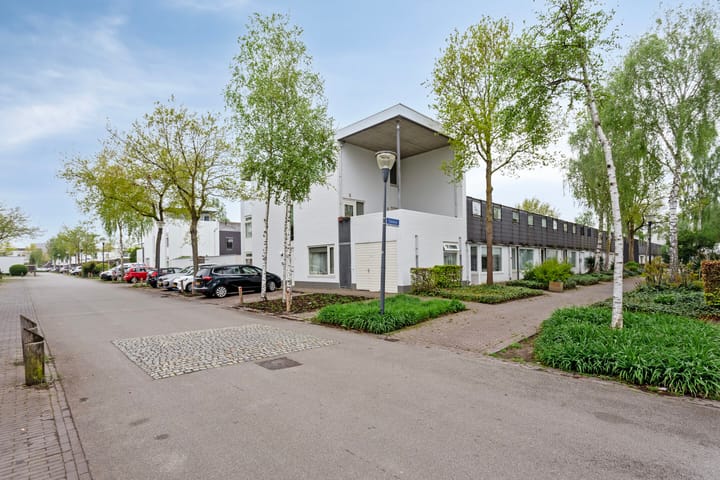 Foto 31 van Zandvis 118