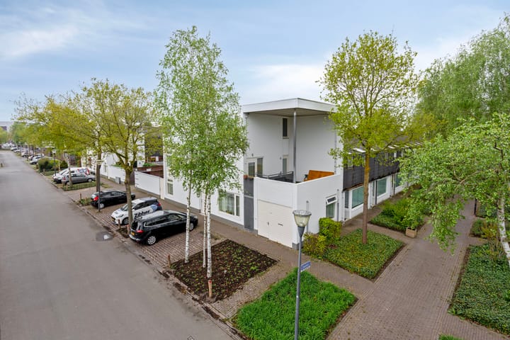 Foto 32 van Zandvis 118