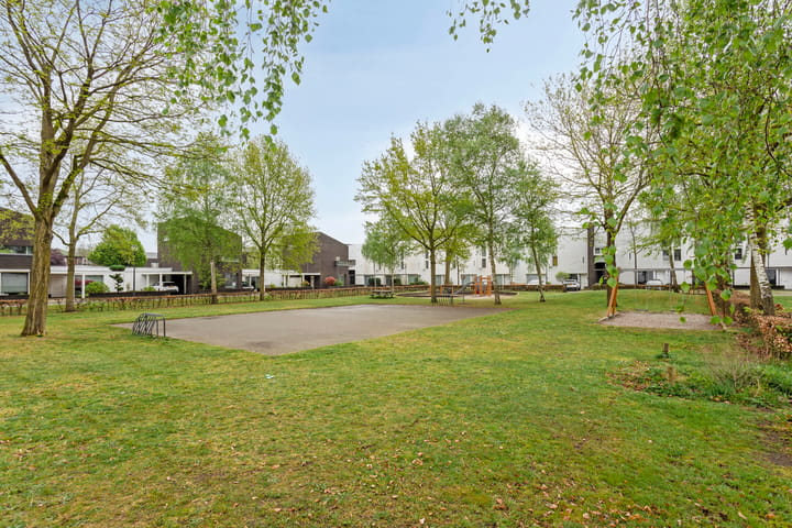 Foto 33 van Zandvis 118