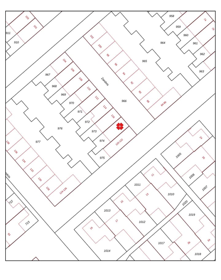 Foto 37 van Zandvis 118