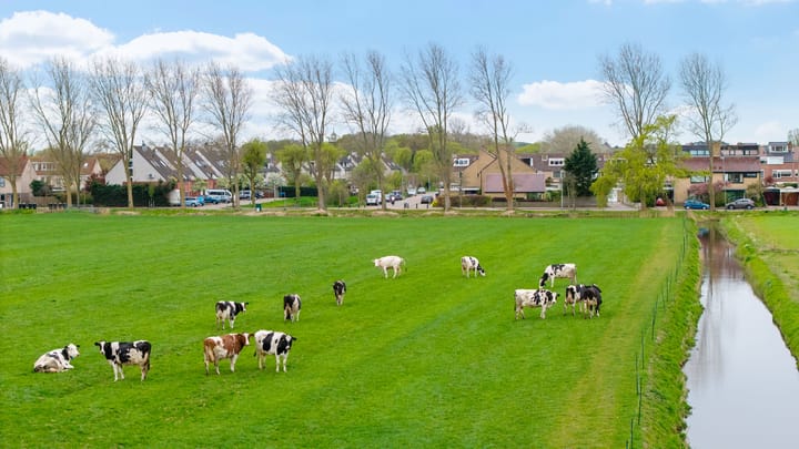 Foto 4 van Prinses Beatrixlaan 69