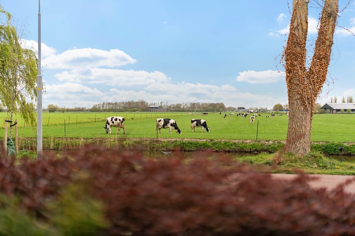 Foto 17 van Prinses Beatrixlaan 69