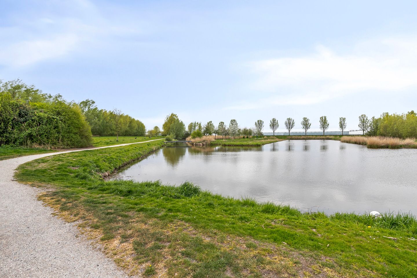 Photo 40 of Irislaan 48