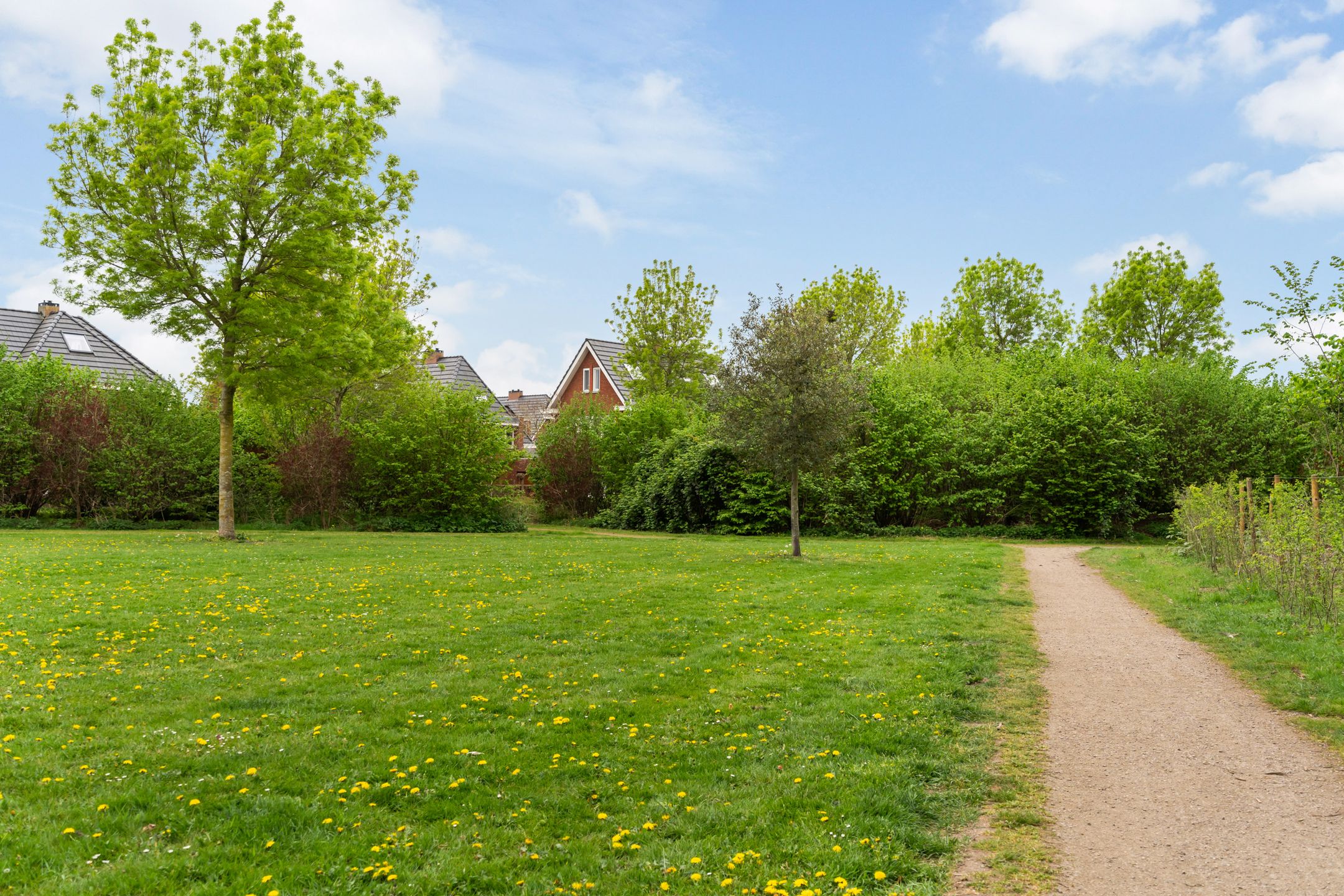 Foto 54 van Korenmolenlaan 15