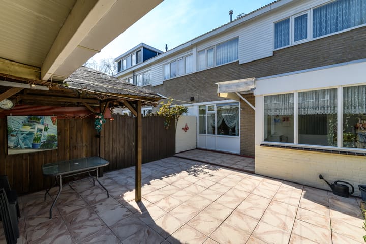 Foto 5 van Zwemmer 41