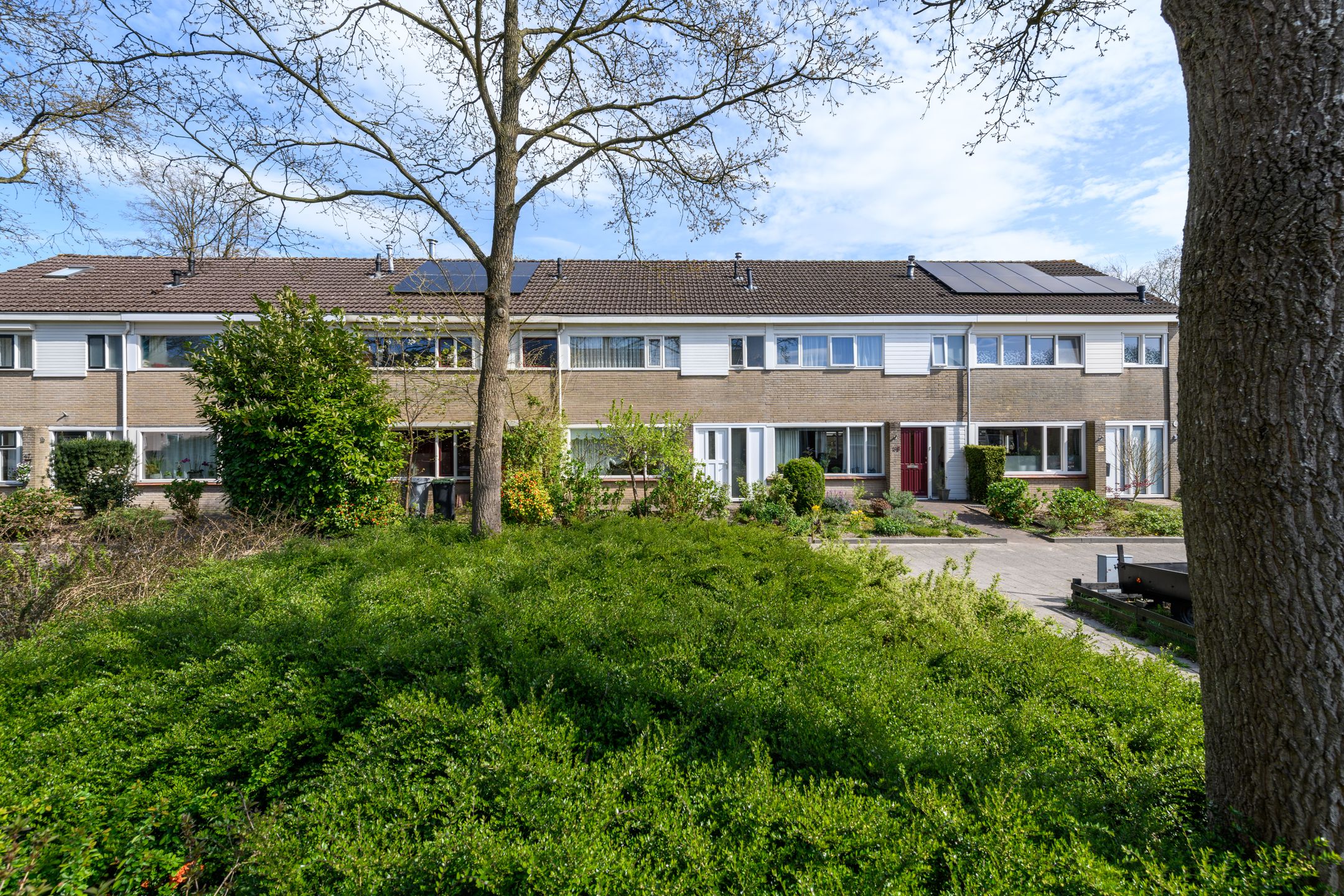 Foto 6 van Zwemmer 41