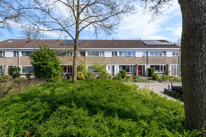 Foto 6 van Zwemmer 41