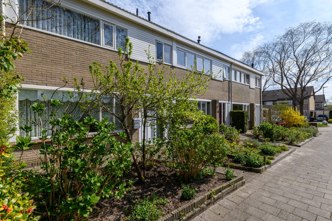 Foto 7 van Zwemmer 41