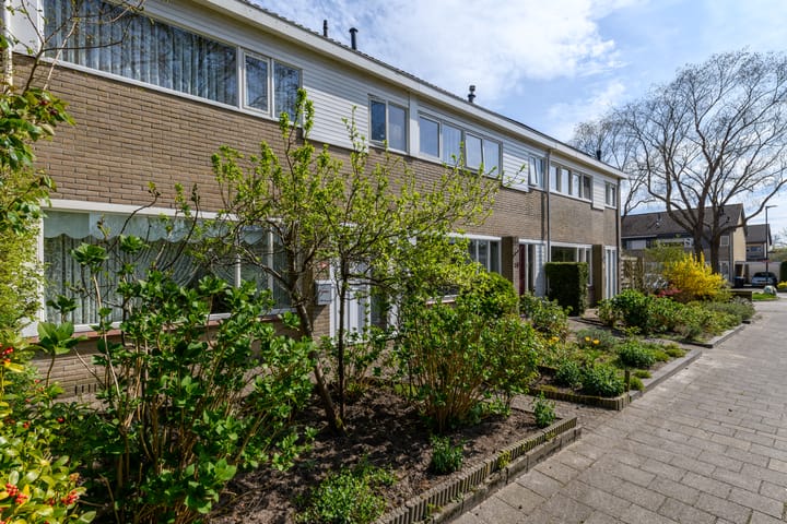 Foto 7 van Zwemmer 41