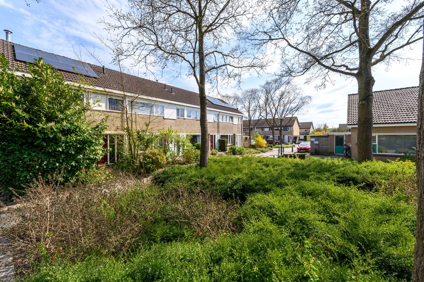 Foto 34 van Zwemmer 41