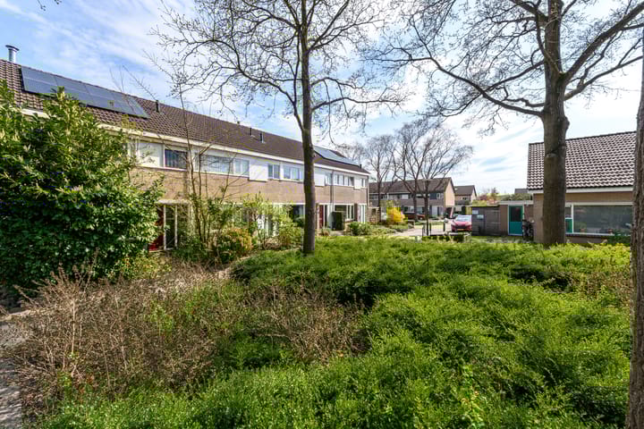 Foto 34 van Zwemmer 41