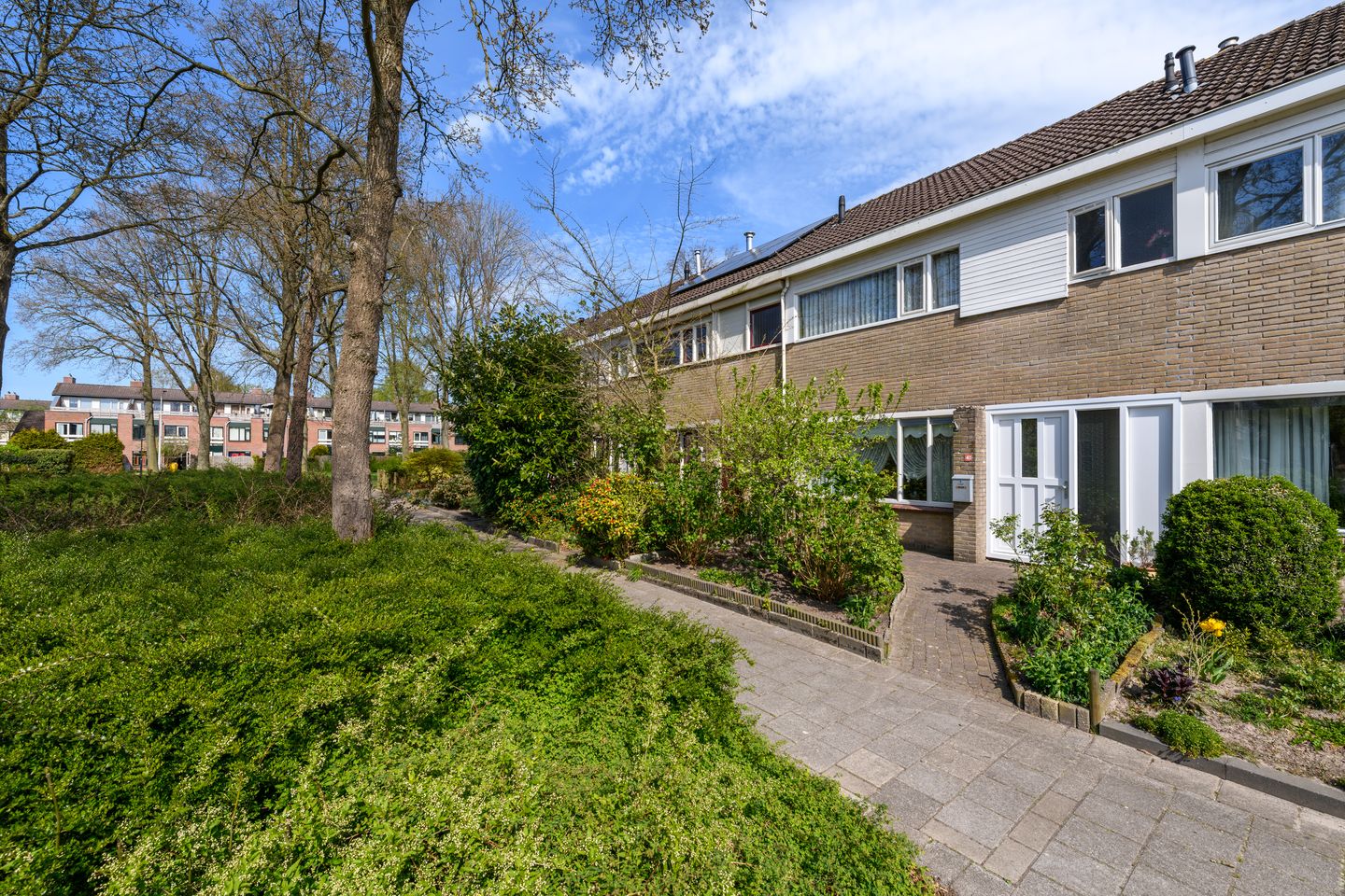 Foto 35 van Zwemmer 41